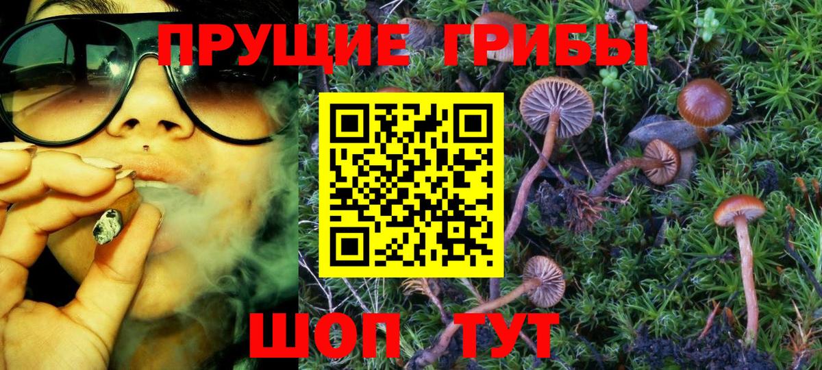 Псилоцибиновые грибы прущие грибы  Вход с VPN  Удомля 